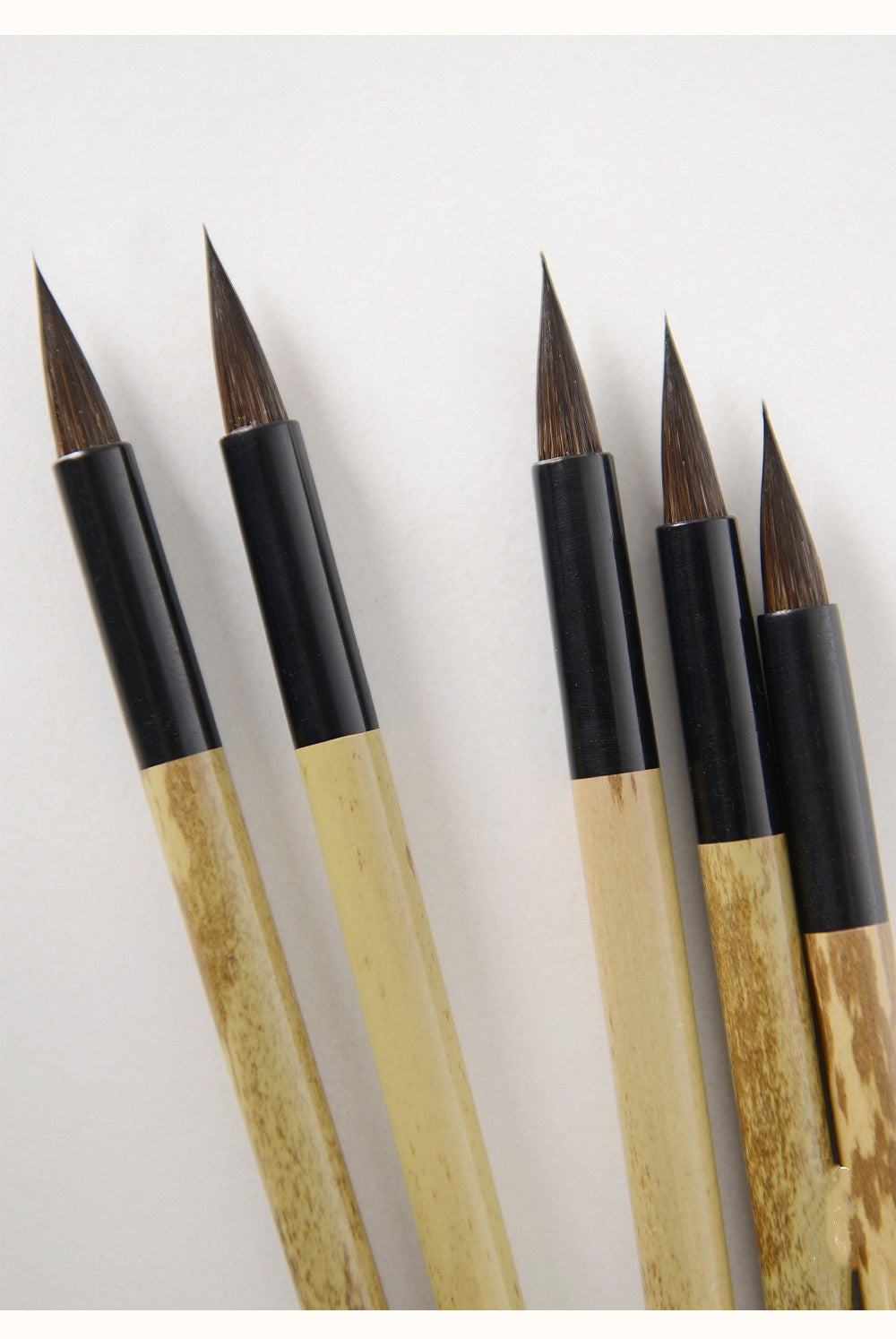 Watercolor brush for precise fine lines and detailed linework