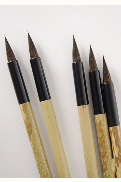 Watercolor brush for precise fine lines and detailed linework